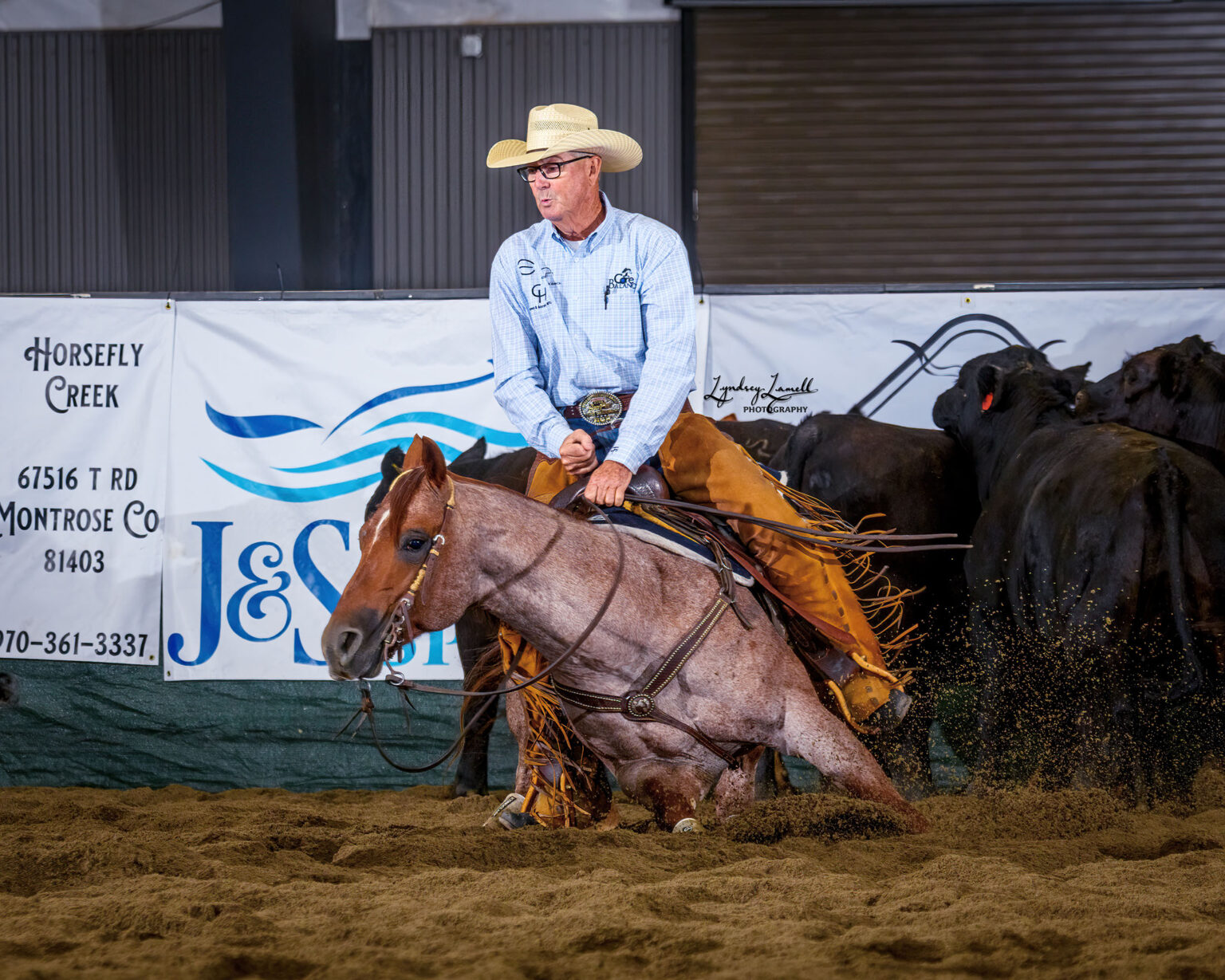 Fiddle And Steel | Wagonhound | Quarter Horses Stallion | WY