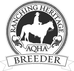 AQHA Ranching Heritage Breeder