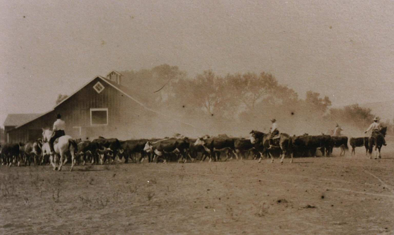 About Wagonhound Land And Livestock Co Douglas Wy